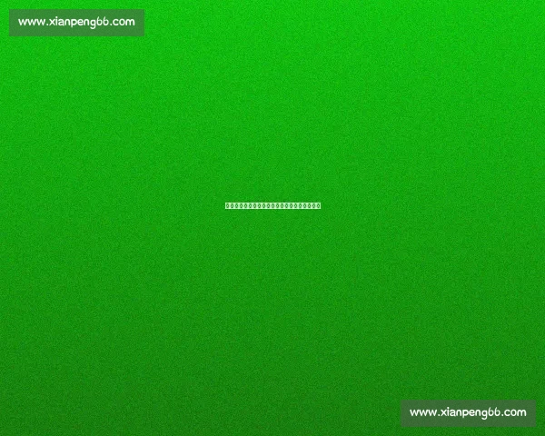 郑钦文确认战靴到位！草地赛季迎来关键转折点